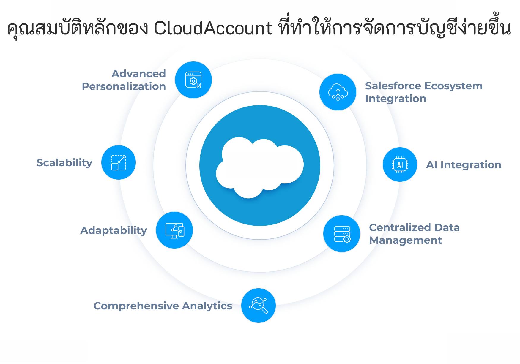 key features fo the image